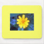 Flowers of Costa Rica 02 Mouse Pad