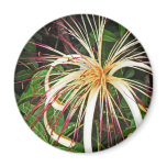 Flowers of Costa Rica 06 Fridge Magnets