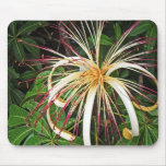 Flowers of Costa Rica 06 Mouse Pad