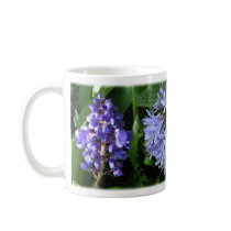 Flowers of Costa Rica - Blue mugs
