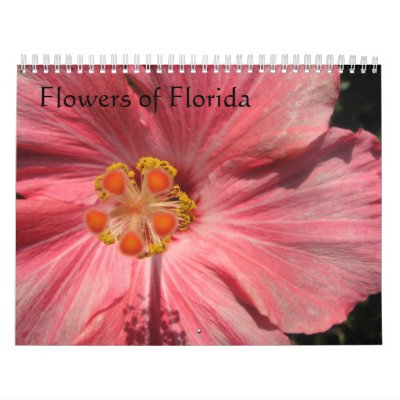 Flowers of Florida 2009 Calendar by jilllemon