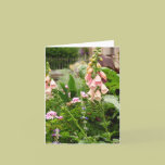 Flowers of France cards