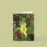 Flowers of France cards