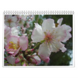 Flowers of Israel calendars