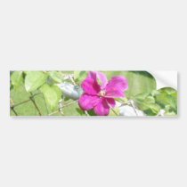 Flowers of the Vine bumper stickers