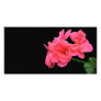 Flowers on black background picture card