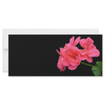 Flowers on black background rack card