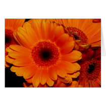 Flowers on Fire - Greeting Card
