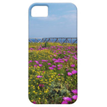 Flowers on Pandateria. iPhone 5 Case