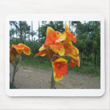 Flowers on plants, Costa Rica. Mousepad