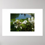 Flowers on the pond *no text posters