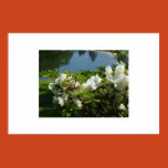 flowers, grass, pretty, sunlight, pond, plants,
