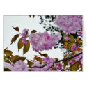 Flowers On Tree cards by lifesphere Flowers On Tree cards