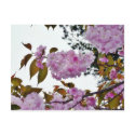 Flowers On Tree postcards by lifesphere Flowers On Tree postcards