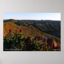 Flowers over the Flinders Poster