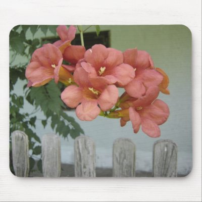 Flowers over Wooden Fence Mousepad by Willowdesign