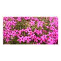 FLOWERS photo cards