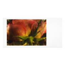 Flowers photo cards