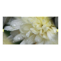 flowers photo cards by PhotoLisa flowers photo cards