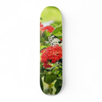 Flowers Plants Butterfly Butterflies Skate Boards