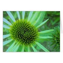 Flowers & Plants Greeting Card