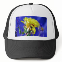 Flowers Plants In Grass Macro hats