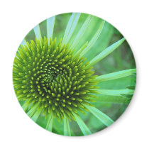 Flowers & Plants magnets
