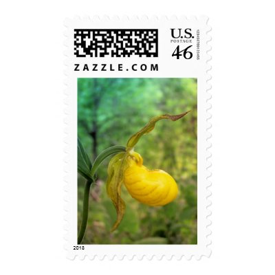 Flowers & Plants Postage Stamps by nmpics