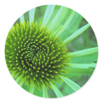 Flowers & Plants stickers