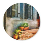 Flowers - Plants - The Stoop magnets