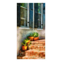 Flowers - Plants - The Stoop Custom Photo Card