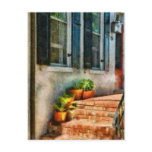 Flowers - Plants - The Stoop postcards