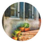 Flowers - Plants - The Stoop Sticker