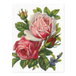 Flowers Post Card