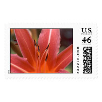 Flowers postage by tillasmax Flowers postage