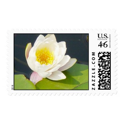 Flowers Postage Stamps by tillasmax