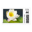 Flowers postage
