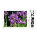 Flowers postage by tillasmax Flowers postage
