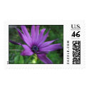 Flowers postage