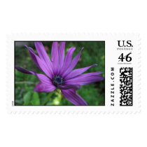 Flowers postage by tillasmax Flowers postage