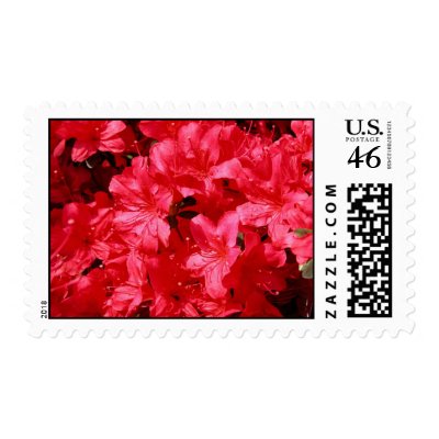 Flowers Postage by tillasmax