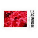 Flowers postage