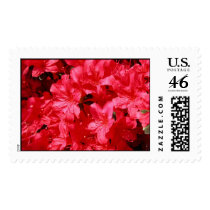 Flowers postage by tillasmax Flowers postage
