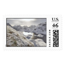 Flowers postage by tillasmax Flowers postage