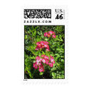 Flowers postage