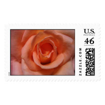 Flowers Postage Stamps