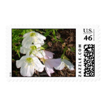 Flowers postage