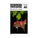 Flowers Postage postage
