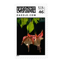 Flowers Postage postage