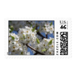 Flowers Postage